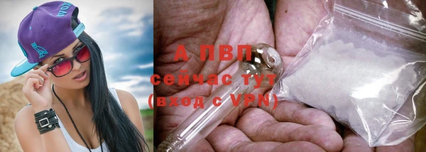 гидропоника Абаза