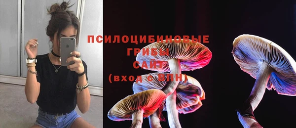 гидропоника Абаза