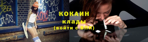 дживик Абинск