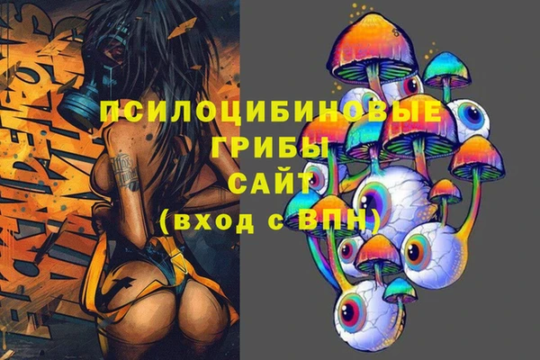 дживик Абинск