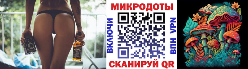 hydra   Ильский  Псилоцибиновые грибы ЛСД 